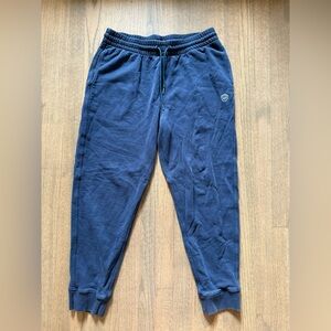 Allbirds R&R Navy Blue Jogger Pants-Size XL